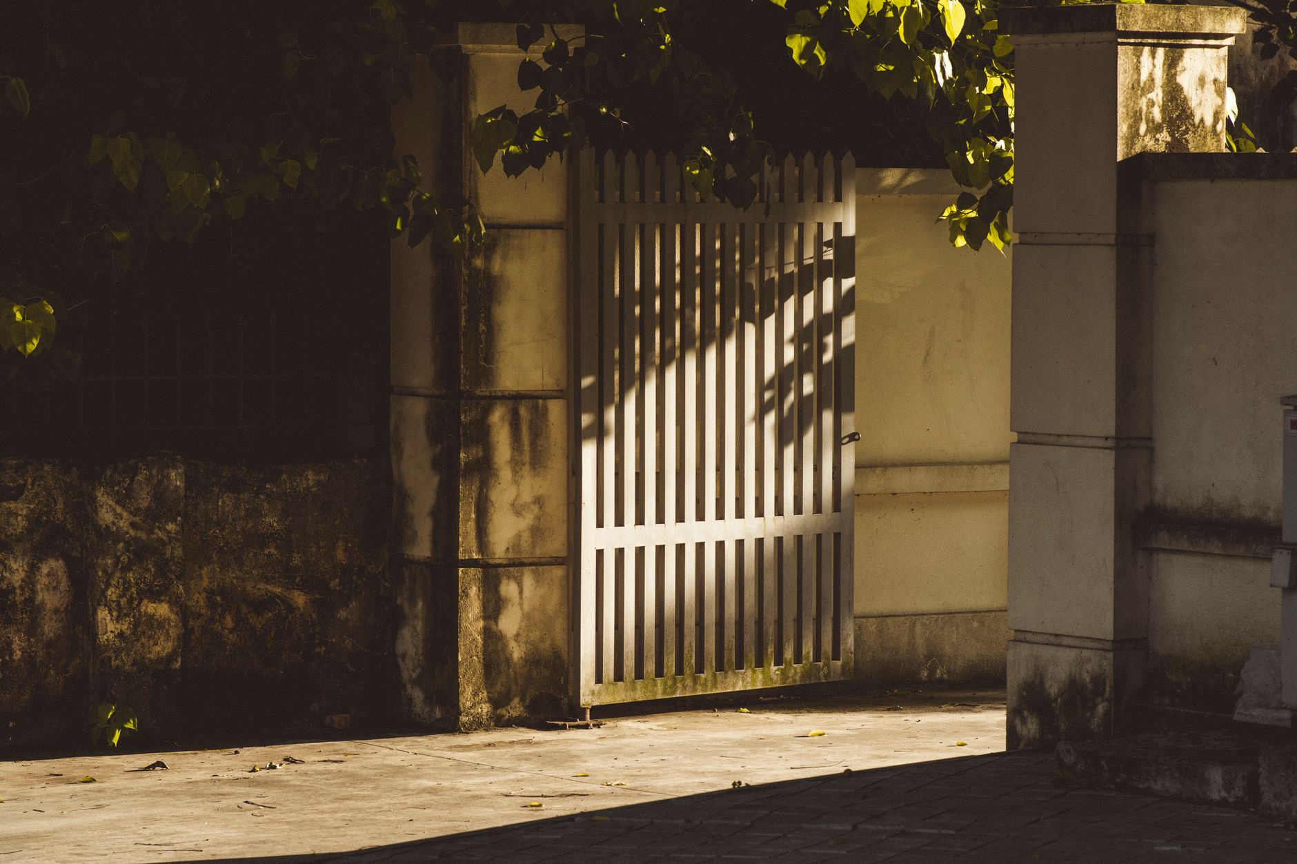 A tranquil scene featuring a white gate with surrounding shadows, creating an urban oasis